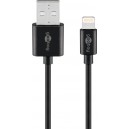 Câble de Charge et de Synchronisation Lightning USB